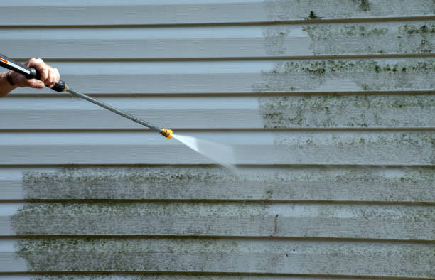 Best Pressure Washing Services Near Me  in Jamestown West, NY