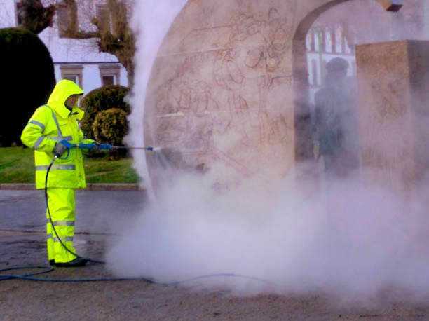 Best Roof Pressure Washing  in Jamestown West, NY